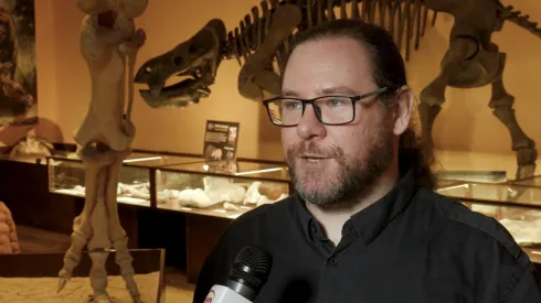 Na zdjęciu dr Tomasz Szczygielski, Instytut Paleobiologii PAN. Źródło: PAP