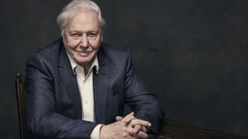 Na zdjęciu David Attenborough. Źródło: BBC