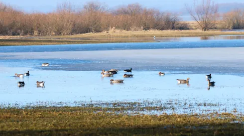 04.03.2026 PAP/Lech Muszyński