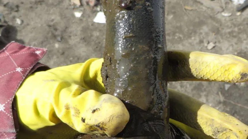 Fot. Wojewódzki Urząd Ochrony Zabytków w Gdańsku 