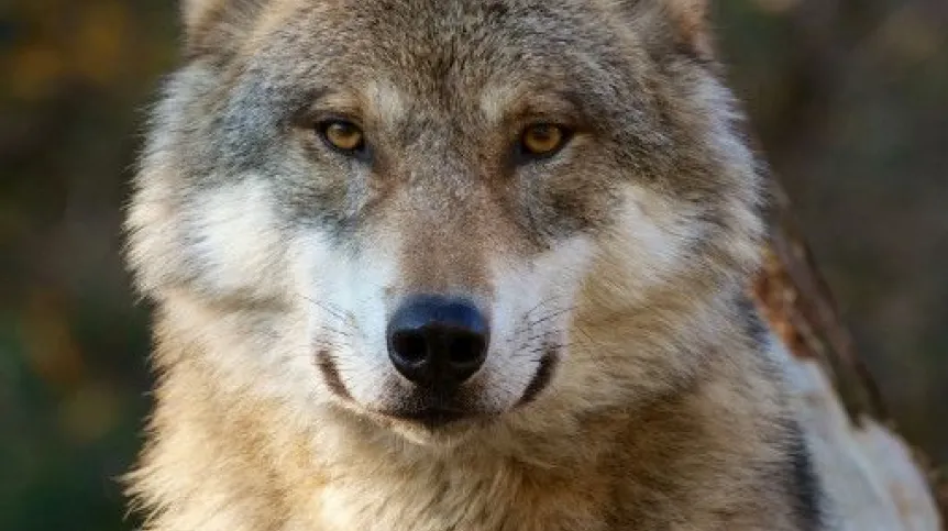 Photo: Fotolia