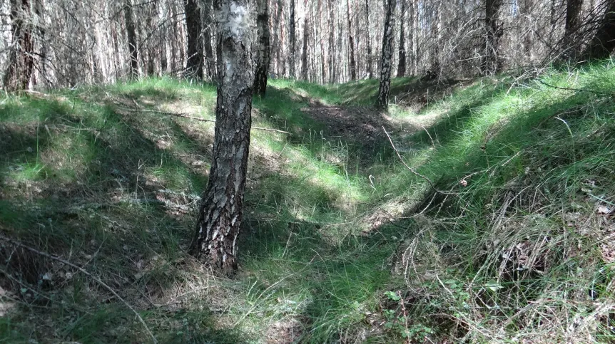 Perfectly preserved trenches. Photo by Dawid Kobiałka