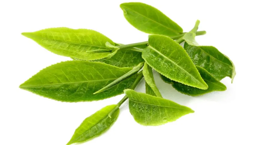Fot. Fotolia