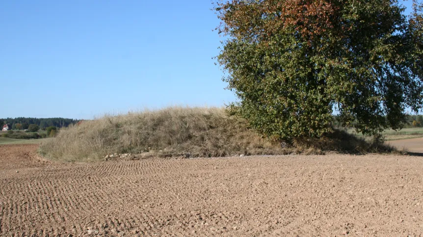 Barrow in Odoje discovered by airborne laser scanning, photo: State Archaeological Museum in Warsaw