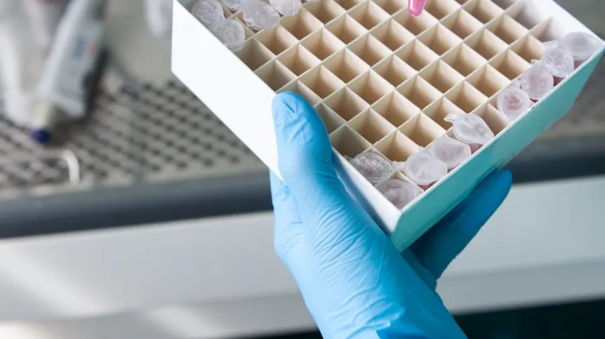 Human cell culture sample studied in research laboratory for pro