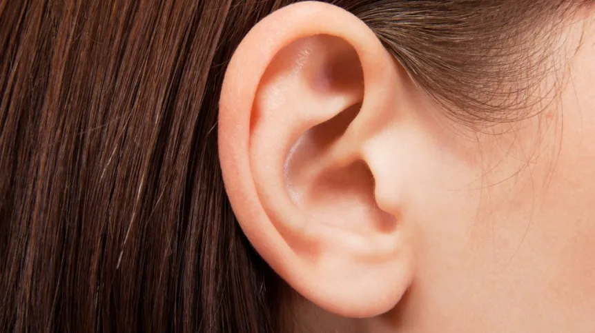 Photo: Fotolia