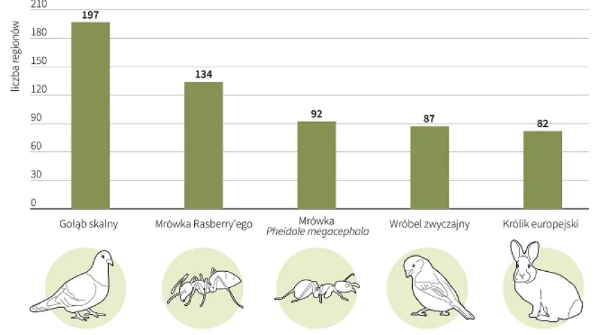 żródło: PAP infografika