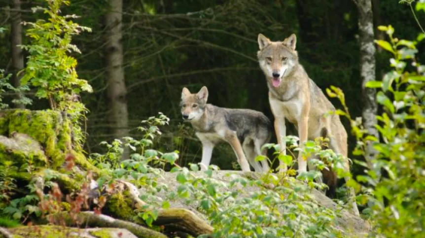 Photo: Fotolia
