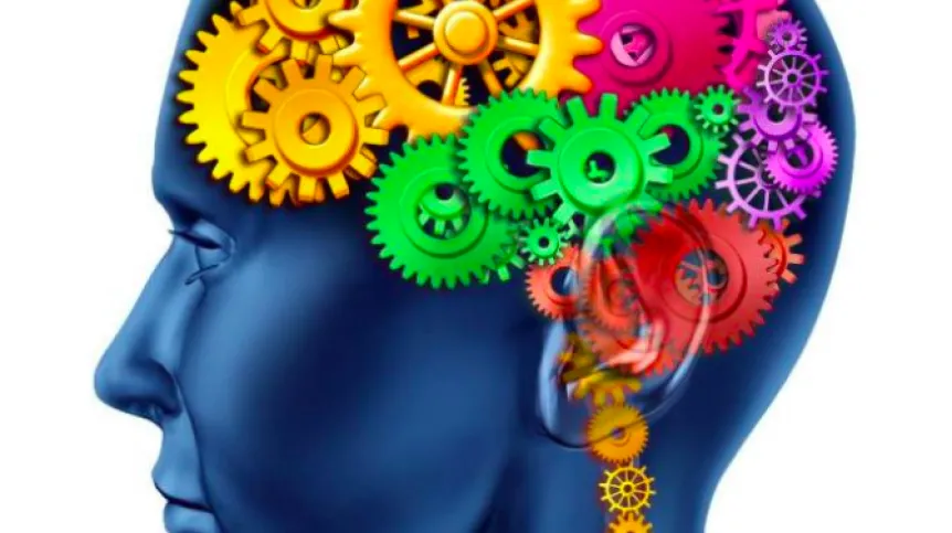 Photo: Fotolia
