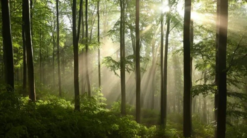 Photo: Fotolia