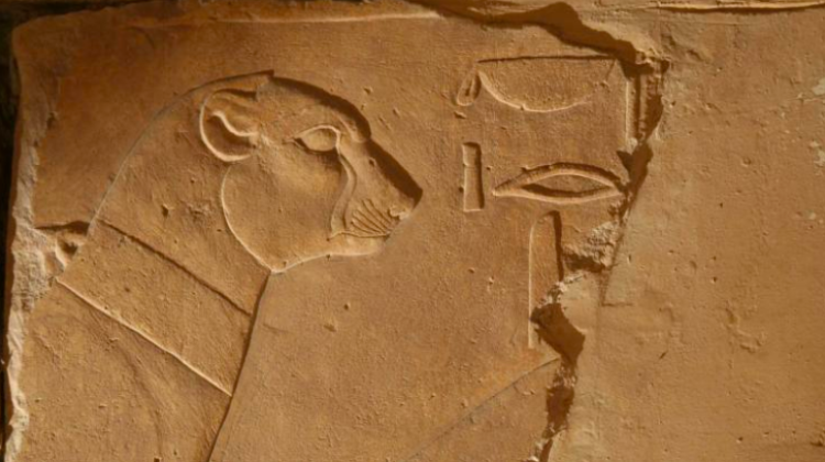 Partially preserved secretary bird from the Portico of Punt. Temple of Hatshepsut at Deir el-Bahari. Photo by Jadwiga Iwaszczuk.