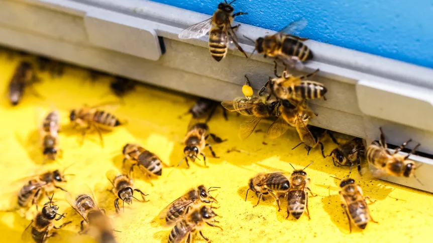 fot. Paweł Dudzik; https://www.facebook.com/paweldudzikphoto