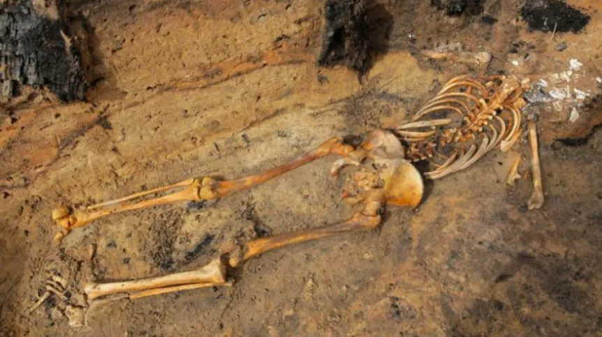 Skeleton found during archaeological excavations in the 14th century settlement near Barczewko, called the "Pompeii of Warmia". Photo: PAP/Tomasz Waszczuk 27.08.2018