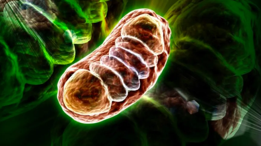 Photo: Fotolia