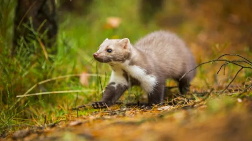 Photo: Fotolia