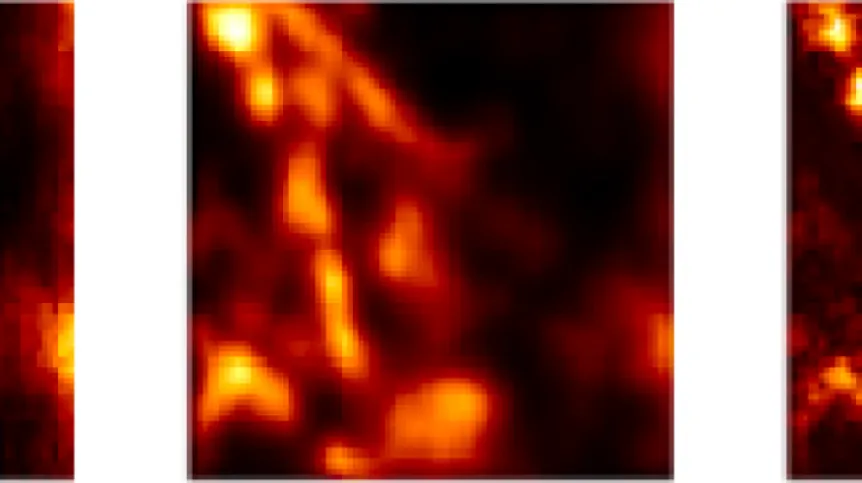 Biological sample: microtubules labelled with quantum dots; from left, the image obtained: in a standard microscope, with the ISM method, with the Q-ISM method. Illustration based on the data presented in the supplement to the publication "Super-resolution enhancement by quantum image scanning microscopy" in "Nature Photonics". (Source: Alexander Krupiński-Ptaszek, Faculty of Physics, University of Warsaw)