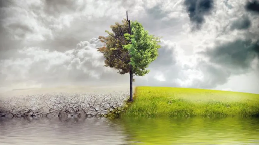Photo: Fotolia