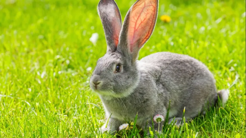 Fot. Fotolia