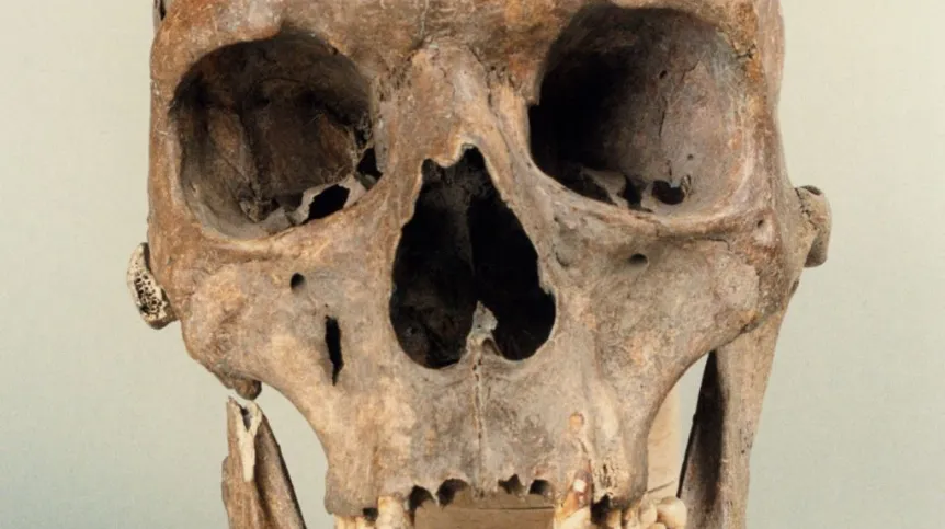 Czaszka gigantki z Ostrowa Lednickiego. Fot. M. Jóźwikowska 