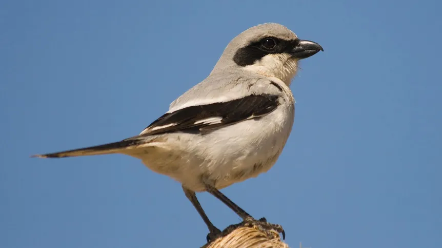 Konrad - stock.adobe.com ©Konrad - stock.adobe.com / 