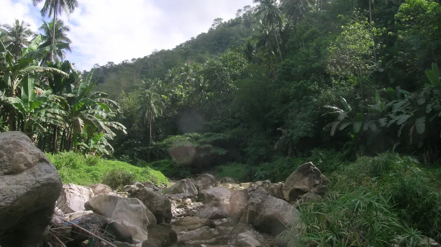 autor: dr Radomir Jaskuła UŁ