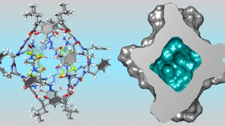 The peptide capsules developed at the Institute of Organic Chemistry PAS can be used to carry out chemical reactions or transport insoluble materials. Author: Hanna Jędrzejewska