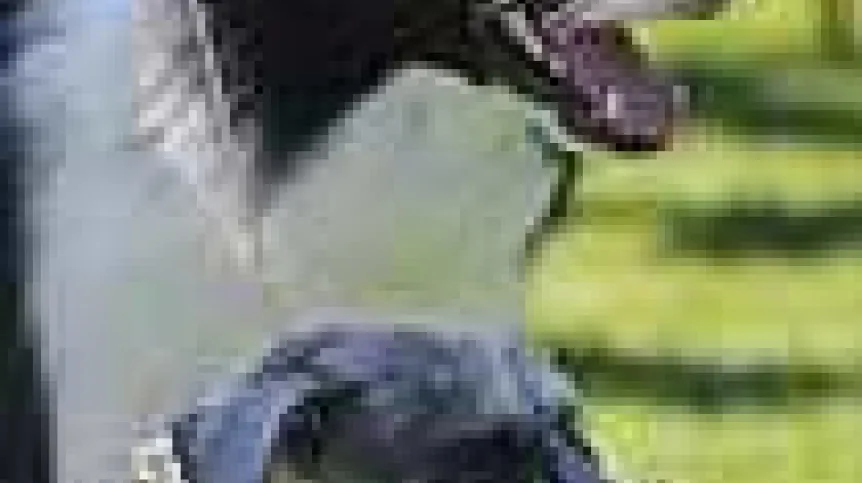 Foto: PAP/ Grzegorz Michałowski