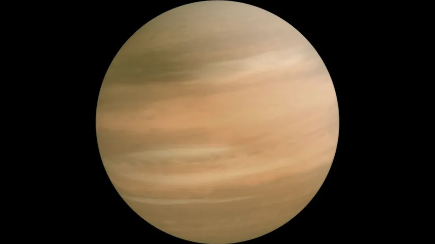 Fot. materiały prasowe