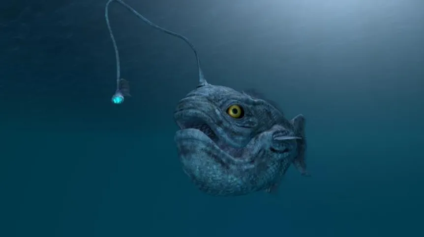 The Balkan frog (Pelophylax kurtmuelleri). Photo: Fotolia