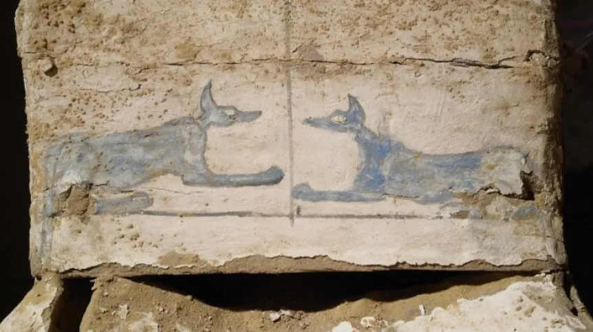 Depictions of Blue Anubis  on the base of the coffins. Photo: J. Dąbrowski / PCMA