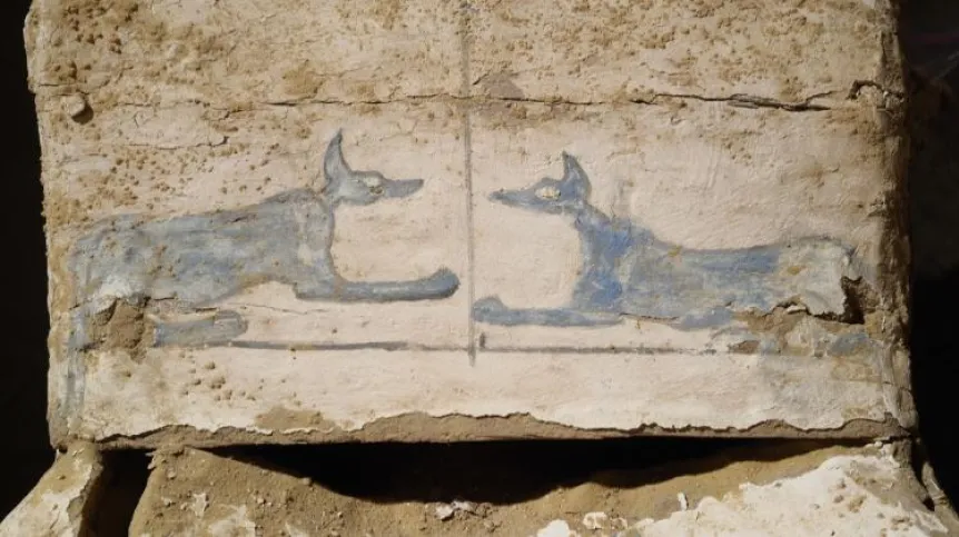 Depictions of Blue Anubis on the base of the coffins. Photo: J. Dąbrowski / PCMA