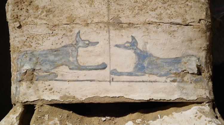 Depictions of Blue Anubis  on the base of the coffins. Photo: J. Dąbrowski / PCMA