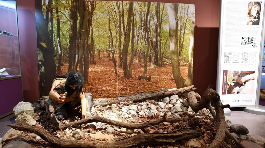 Muzeum archeologiczne i rezerwat "Krzemionki" w Krzemionkach pod Ostrowcem Świętokrzyskim Fot. Piotr. Polak 19.06.2019