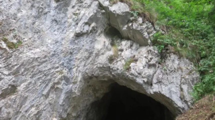 Source: Prof. Paweł Valde-Nowak