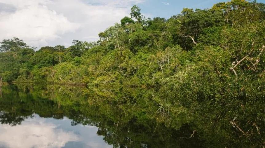Amazon Jungle, Brazil, source: unsplash.com
