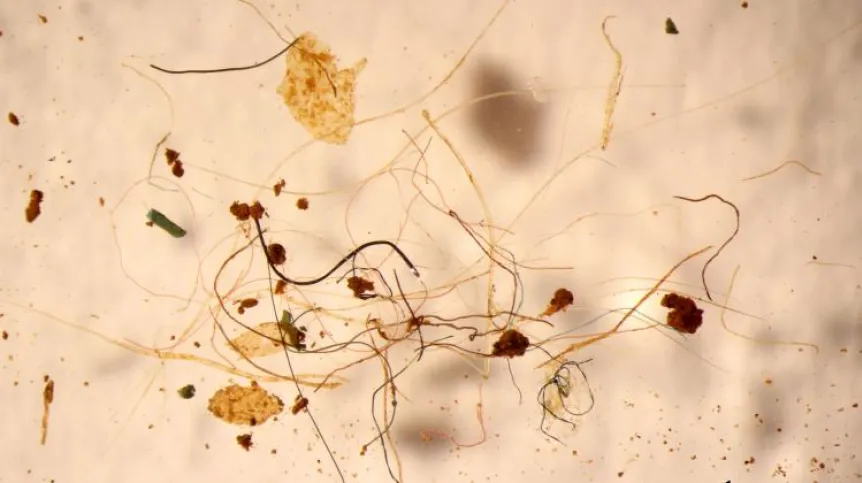 Microplastics detected by scientists in the winter of 2019 in Kraków. credit: K.Jarosz