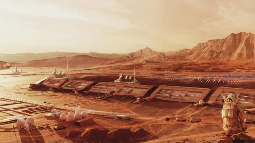 Visualization of the "Twardowsky" colony. Credit: Wojciech Fikus