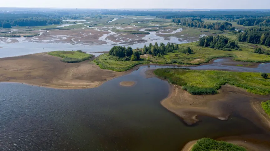 Fot. PAP/Grzegorz Michałowski 08.08.2019