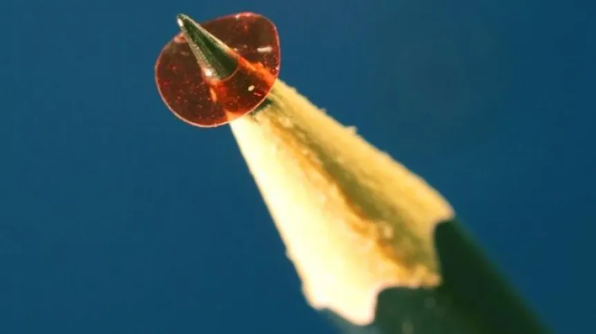 Photograph of a 5.5 mm micromotor rotor made of a properly oriented polymer, on a pencil tip. Source: Faculty of Physics, University of Warsaw, photo by Piotr Wasylczyk