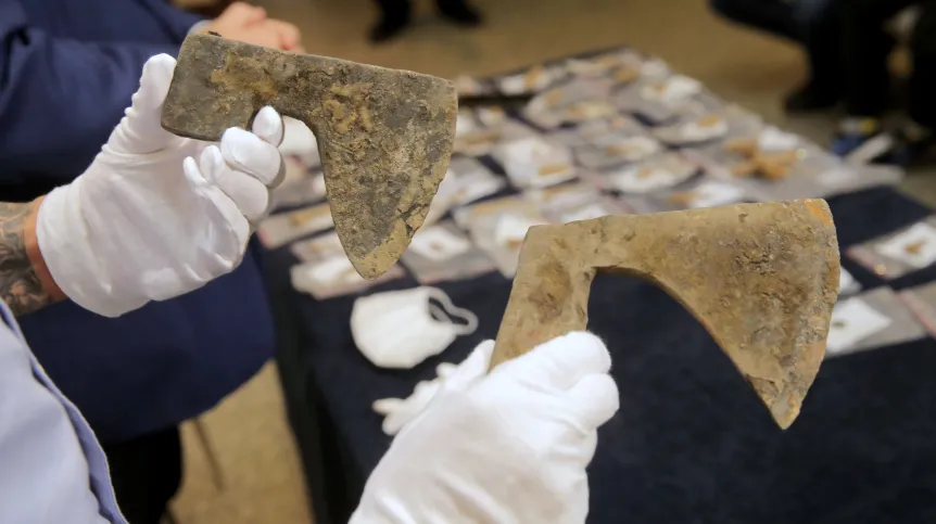 Topory bojowe zaprezentowane podczas konferencji prasowej dot. znalezisk z tegorocznych badań pól grunwaldzkich, 29 bm. w Muzeum Bitwy pod Grunwaldem w Stębarku. Detektoryści i archeolodzy przebadali blisko 60 hektarów pól wokól Grunwaldu. Odkryto m.in. dwa znakomicie zachowane topory bojowe, których użyto w największej średniowiecznej bitwie z 1410 roku. Znalezisko datowane jest na XV w. PAP/Tomasz Waszczuk 29.08.2020