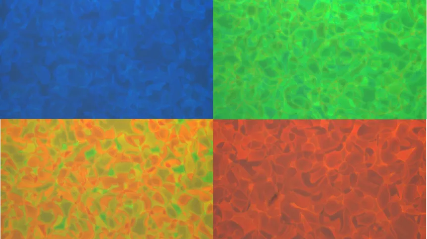 Źródło: dr Mateusz Mrukiewicz