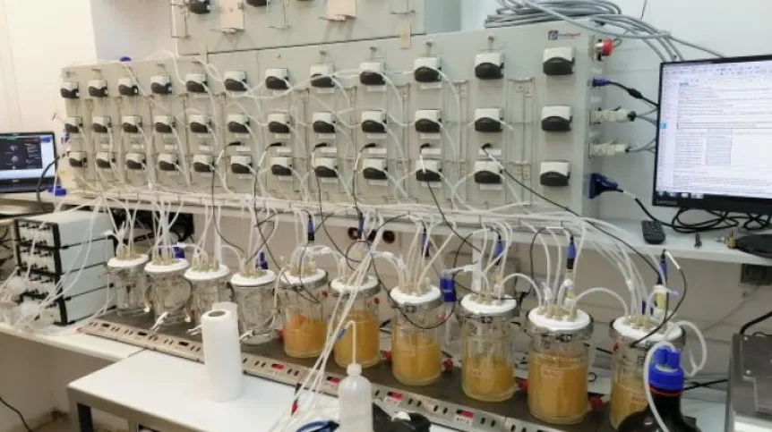 Artificial digestive tract. Credit: WULS-SGGW