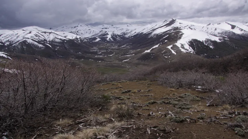 Credit: dr hab. A. Ronikier