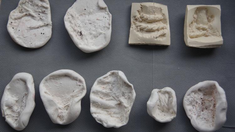 Plasticine imprints of the bottoms of clay seals from Lerna in Argolis in the collection of the Corpus of Minoan and Mycenaean Seals in Heidelberg, credit: A. Ulanowska