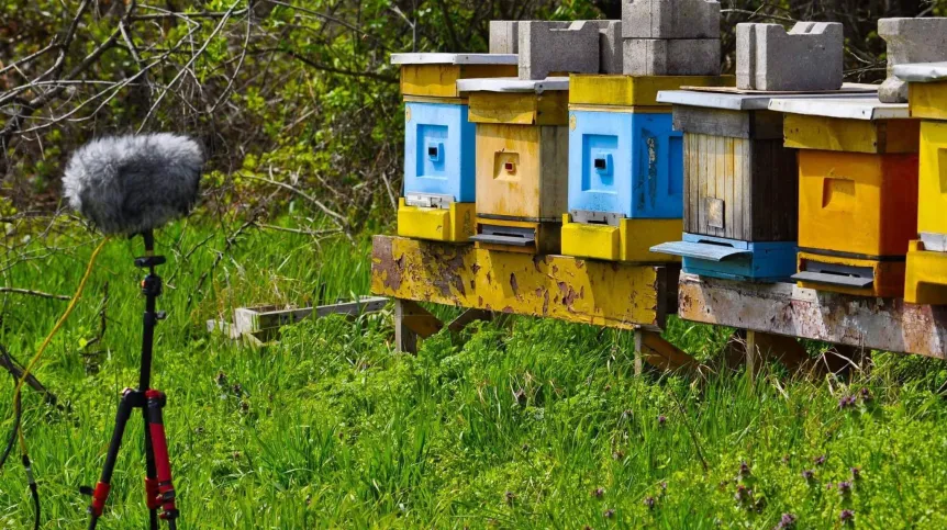 Apiary. Source: Wrocław University of Environmental and Life Sciences