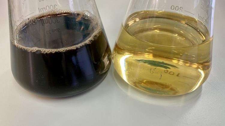 A flask with yellow liquid - an Antarctic bacteria growth medium, next to a flask with dark liquid - bacterial culture with a generous metabolic product, a compound from the melanin group. Credit: Michał Styczyński, UW