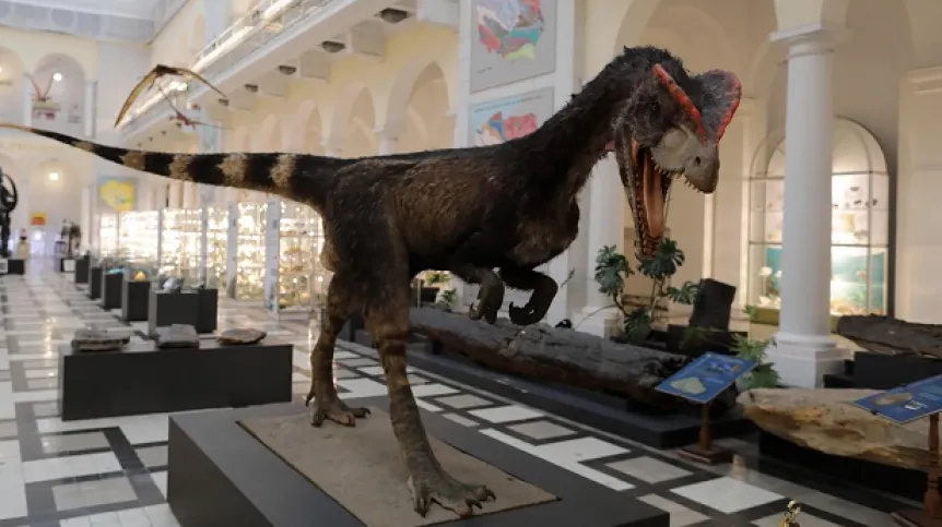 Warszawa, 13.12.2021. Muzeum Geologiczne PIG-PIB w Warszawie gdzie, odbyła się konf. pras. "Dinozaury na Mazowszu. Odkrycie unikatowych w skali światowej skamieniałości". Konferencja była połączona z prezentacją oryginalnych materiałów skalnych. (az/doro) PAP/Albert Zawada