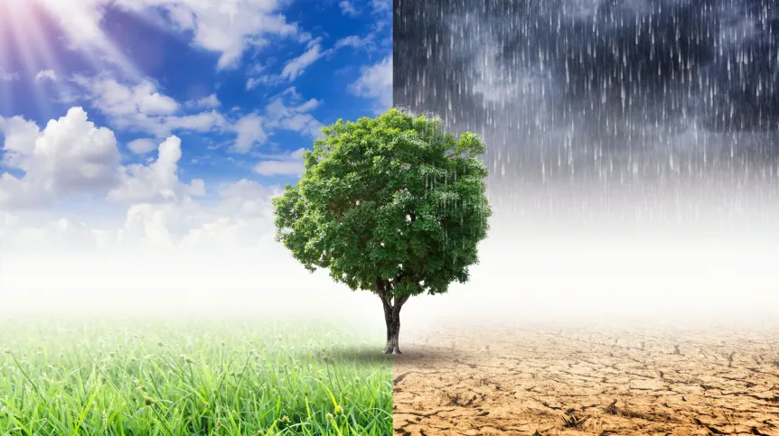 Fot. Fotolia