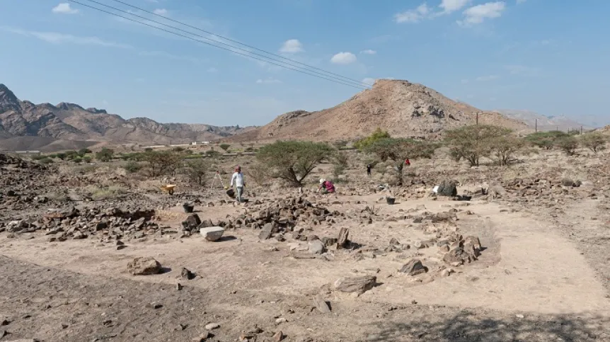 The remnants of an Iron Age settlement spread over a vast area. Credit: J. Śliwa/PCMA UW