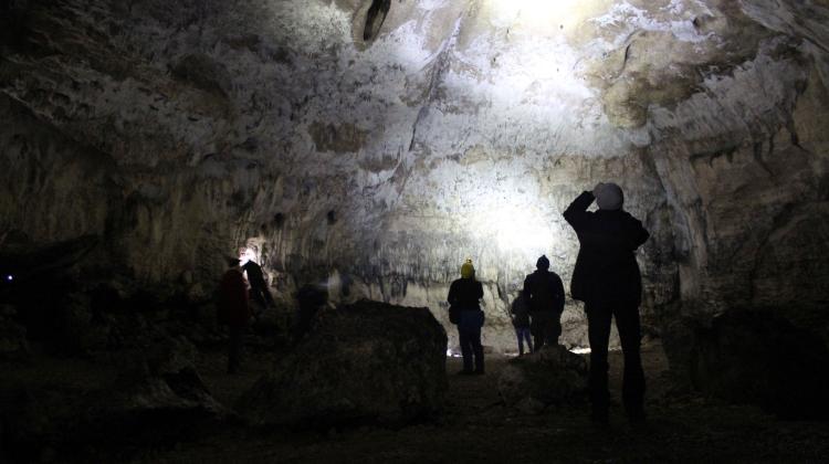 Counting bats, Ciemna Cave. Credit: A. Węgiel